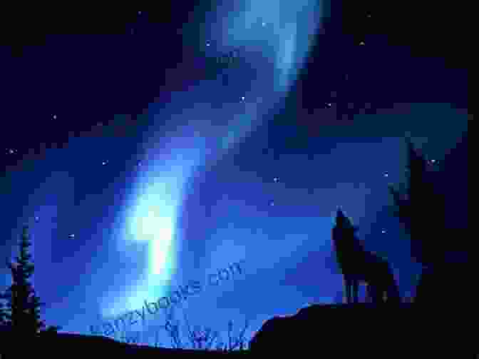 A Majestic Wolf Stands Against A Backdrop Of An Aurora Borealis, Representing The Strength And Resilience Of Nature. The Collection Of Novels By Jack London (Best Navigation Active TOC)