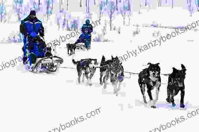 A Sled Dog Team Races Through A Snowy Landscape, Evoking The Primal Call Of The Wilderness. The Collection Of Novels By Jack London (Best Navigation Active TOC)