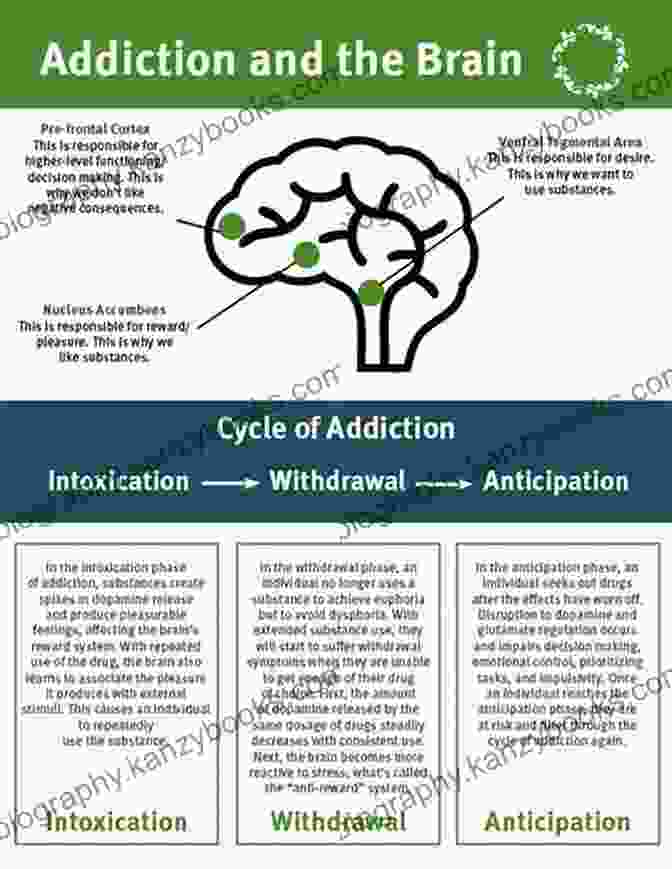 Addiction Rewires The Brain, Leading To Cravings And Compulsive Behaviors. The Recovering: Intoxication And Its Aftermath