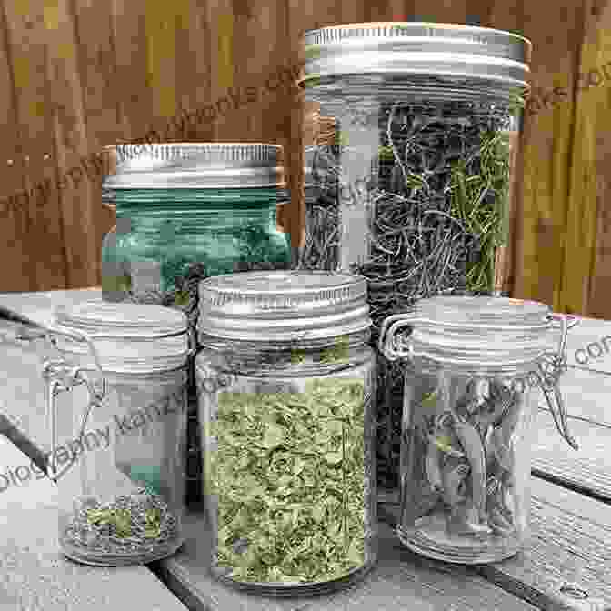 Assortment Of Dried Medicinal Herbs In A Glass Jar Herbs Guide Cooking Gardening Spices Seeds Plants Your Health