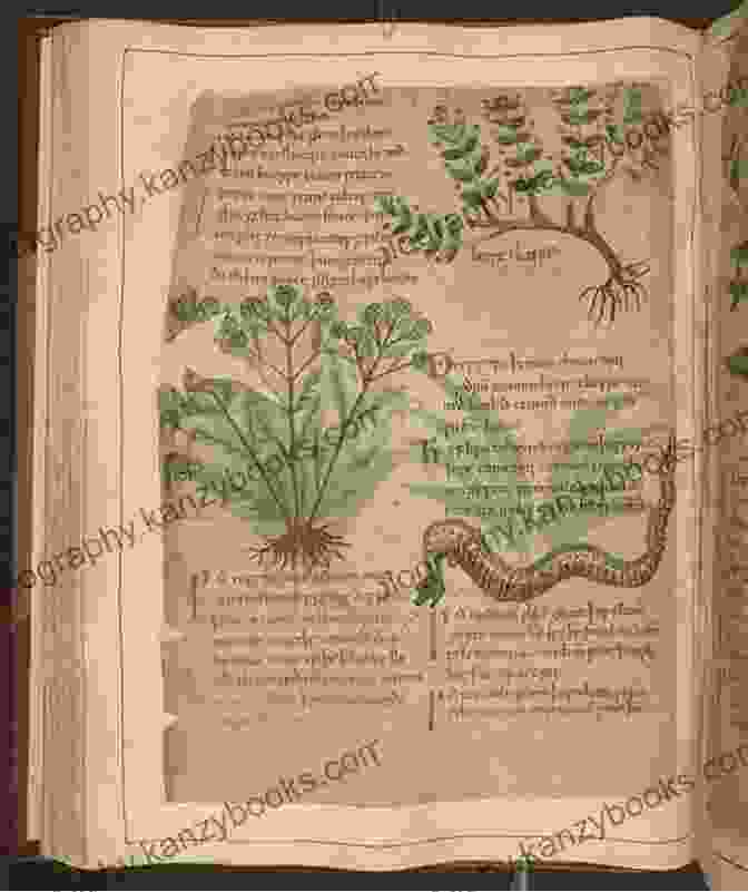 The Old English Herbarium, An Ancient Manuscript Containing Valuable Knowledge About Anglo Saxon Medicine And Herbal Remedies. Medieval Herbal Remedies: The Old English Herbarium And Anglo Saxon Medicine