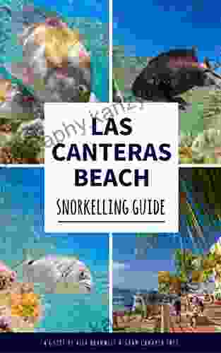 Las Canteras: Snorkelling Guide: Explore Gran Canaria S Top Underwater Spot Like A Local