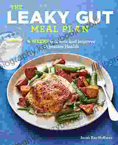 The Leaky Gut Meal Plan: 4 Weeks To Detox And Improve Digestive Health