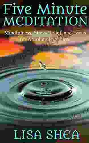 Five Minute Meditation: Mindfulness Stress Relief And Focus For Absolute Beginners