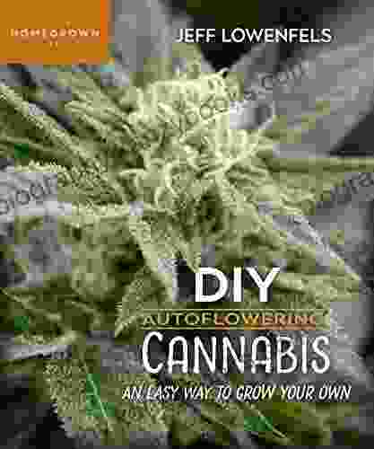 DIY Autoflowering Cannabis: An Easy Way To Grow Your Own (Homegrown City Life 7)