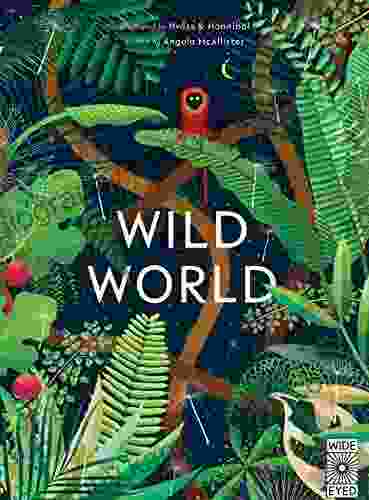 Wild World Angela McAllister