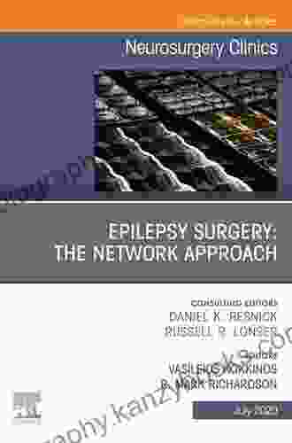 Epilepsy Surgery: The Network Approach An Issue Of Neurosurgery Clinics Of North America E (The Clinics: Surgery)